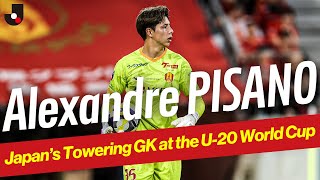 nl5QnwLT5AI Video Image