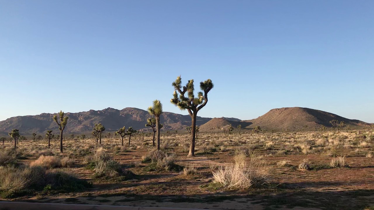 Joshua Tree NP YouTube