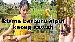 bidadari desa || Neng Risma mencari ikan paling murah, jinak dan bermanfaat