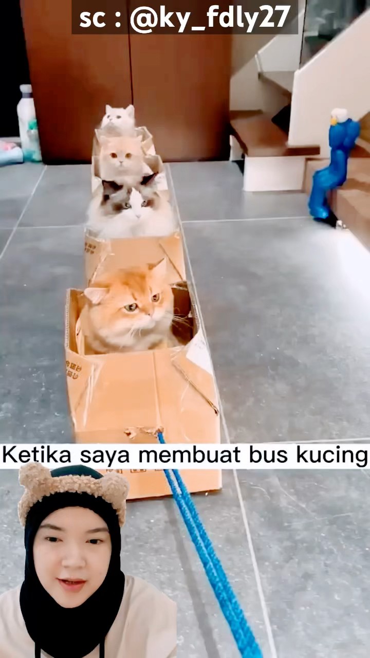 kereta kucing‼️