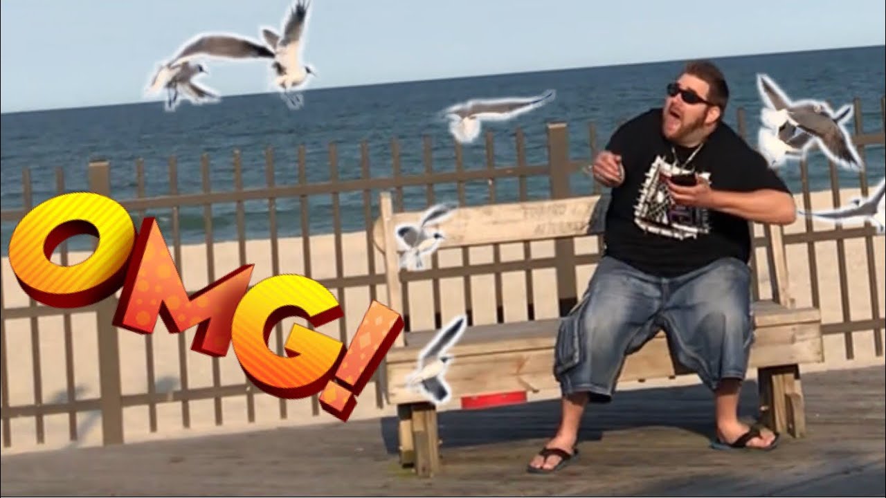 ATTACKED BY SEAGULLS! WINNING PRIZES FOR FANS! TOY THROWN IN THE TREES! - YouTube