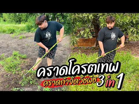 วีดีโอ: การใช้คราดในสวน - คราดประเภทต่างๆ สำหรับสวน