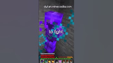 INVIS Raiding on the Lifesteal SMP!