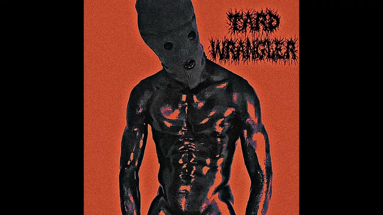 Tard Wrangler - I've Been Known (2 The Floor)