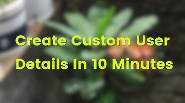 Grails 4 and Spring Security Custom User Details Example