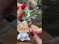 Mini Carnival Pops Christmas themed ❤️💚 #shorts #satisfyingvideo #asmr #candy #candyopeningvideo