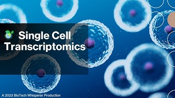 Single Cell Transcriptomics and its Applications Explained in 6 Minutes