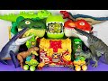 Jurassic World Unboxing Review Asmr Colorful Dinosaur T-rex Spinosaurus Indominus Rex Raptor Eggs