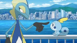 Pokémon Journeys Sobble Is Inspired By Intelion
