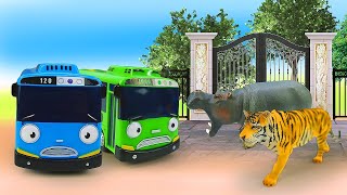 Tayo and zoo animals for kids -Tayo the little bus English episodes