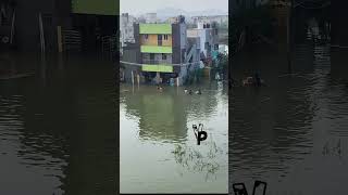 கலங்காத குளம்??rain chennai cyclone flood parithabangal water thirunelveli