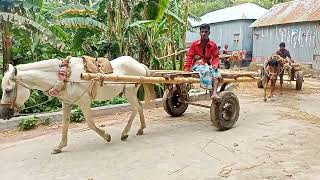 গ্রামের বাড়িতে সুন্দর একটি দৃশ্য  ঘোড়ার গাড়ির  নব্বই দশকের শ্রিতী