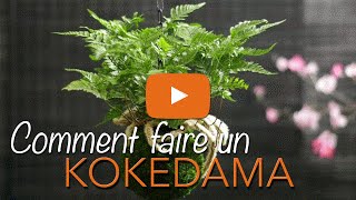 Comment faire un KOKEDAMA ? KOKEDAMA SUSPENDU - KOKEDAMA PARIS - Chroniqueur jardin Franck PROST