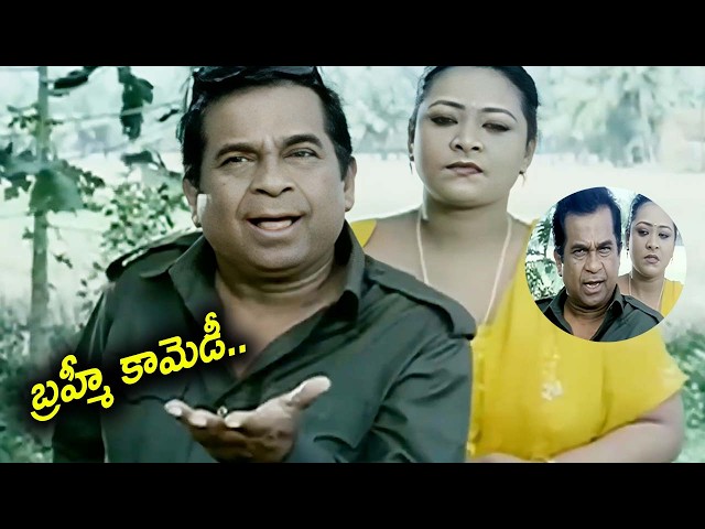 Brahmanandam Non - Stop Comedy Scenes | Telugu Comedy Videos | Comedy Movie |@iDreamBhimavaram