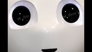 よくしゃべるソフトバンクのロボット「Pepper」 / Robot 
