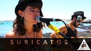 Video thumbnail of "Suricatos (Proyecto Nueces 2ª Temporada)"