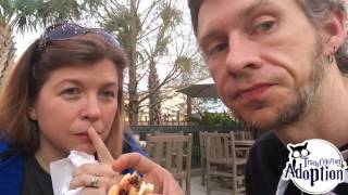 Helping Florida Foster Parents, Disney Springs, and Manatees
