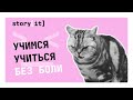 Учимся учиться без боли: советы по эффективному обучению