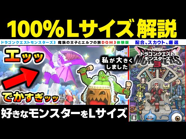 ドラゴンクエストモンスターズ DQM Amazon.com: Dragon Quest Monsters: The Dark Prince (NSW) : Square