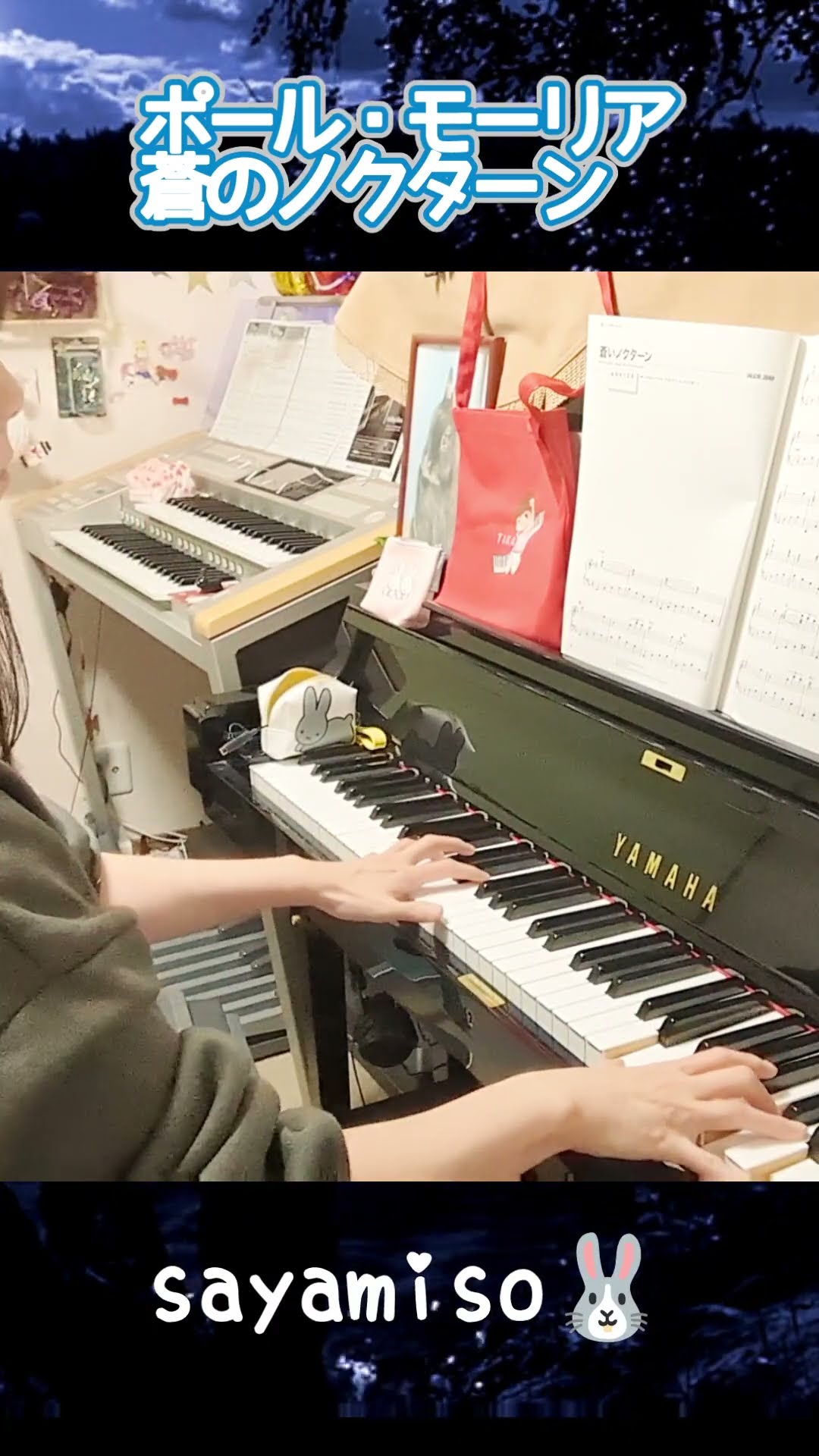 1分で振り返る名曲⑩【蒼いノクターン / ポール・モーリア】 Piano