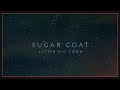 Little Big Town - Sugar Coat (Highlights)