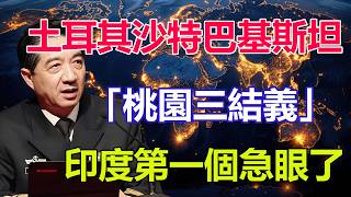 土耳其沙特巴基斯坦「桃園三結義」，印度為什麼第一個急眼了？