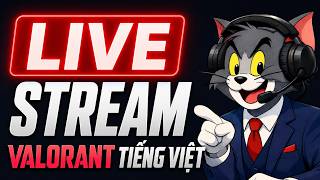 🔴 Trải nghiệm Viper v4 pro + Artisan zero soft + đặt cả cánh tay lên bàn như proplayer nhưng bắn ngu screenshot 3