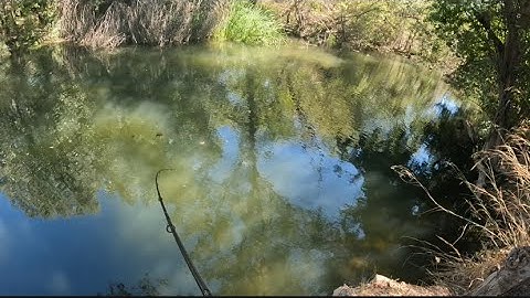 Finding SECRET Fishing Spots with GOOGLE EARTH! Urban FIshing Adventures