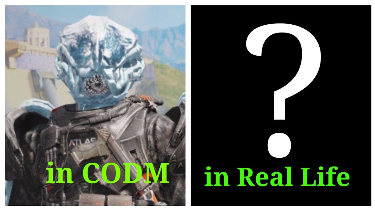 Sentinel Recon in CODM VS in Real Life