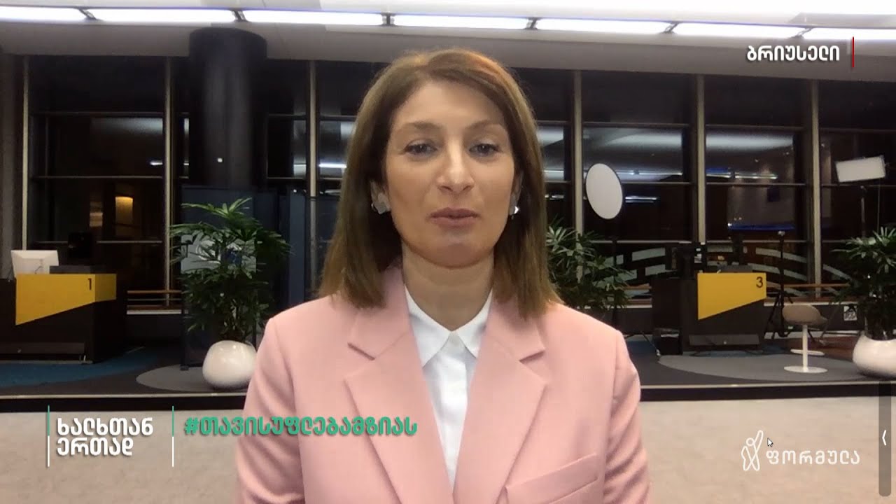 მკაცრი რეზოლუცია საქართველოზე — თამარ ნუცუბიძის ჩართვა ბრიუსელიდან