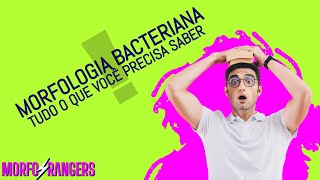 Tudo que você precisa saber sobre morfologia bacteriana