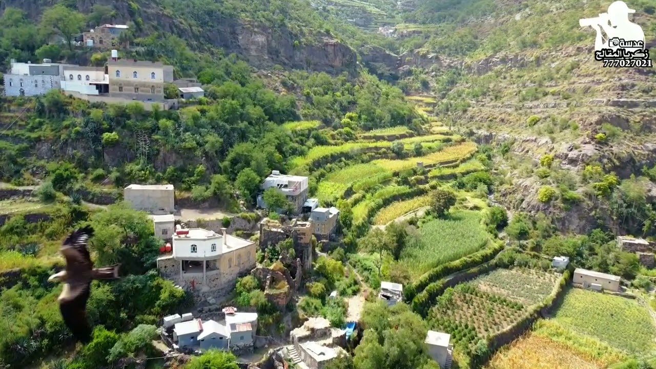 من قرية الدخلة مديرية الرضائي 