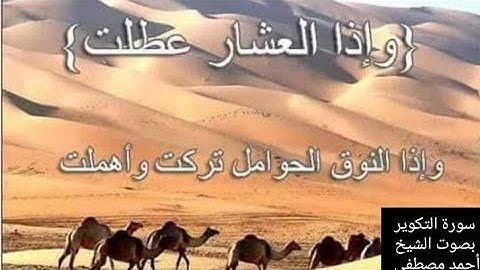 #القرآن_الكريم#راحة_نفسية#الشيخ#احمد#مصطفى#سورة_التكوير