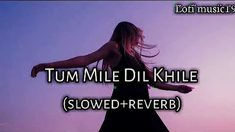 Tum Mile Dil Khile !! StebinBen  Asees kaur !! lofi song (slowed reverb) !!