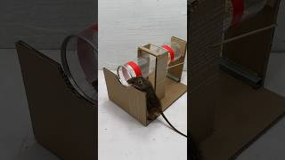 The Best Homemade Mouse Trap Idea Using Plastic Pipes / Mouse Trap 2#Rat #Mousetrap #Rattrap