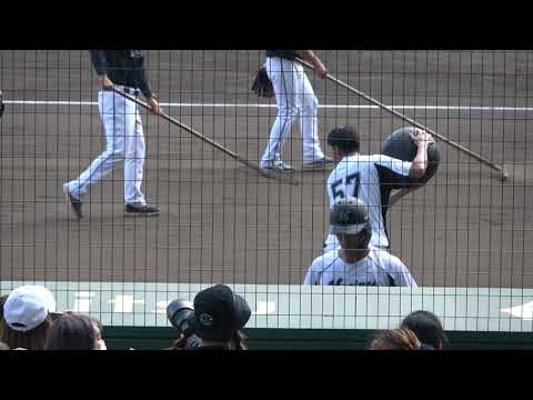 2021/7/29 小川龍成選手 バランスボール ? でトレーニング  甲子園球場 阪神タイガース VS 千葉ロッテマリーンズ