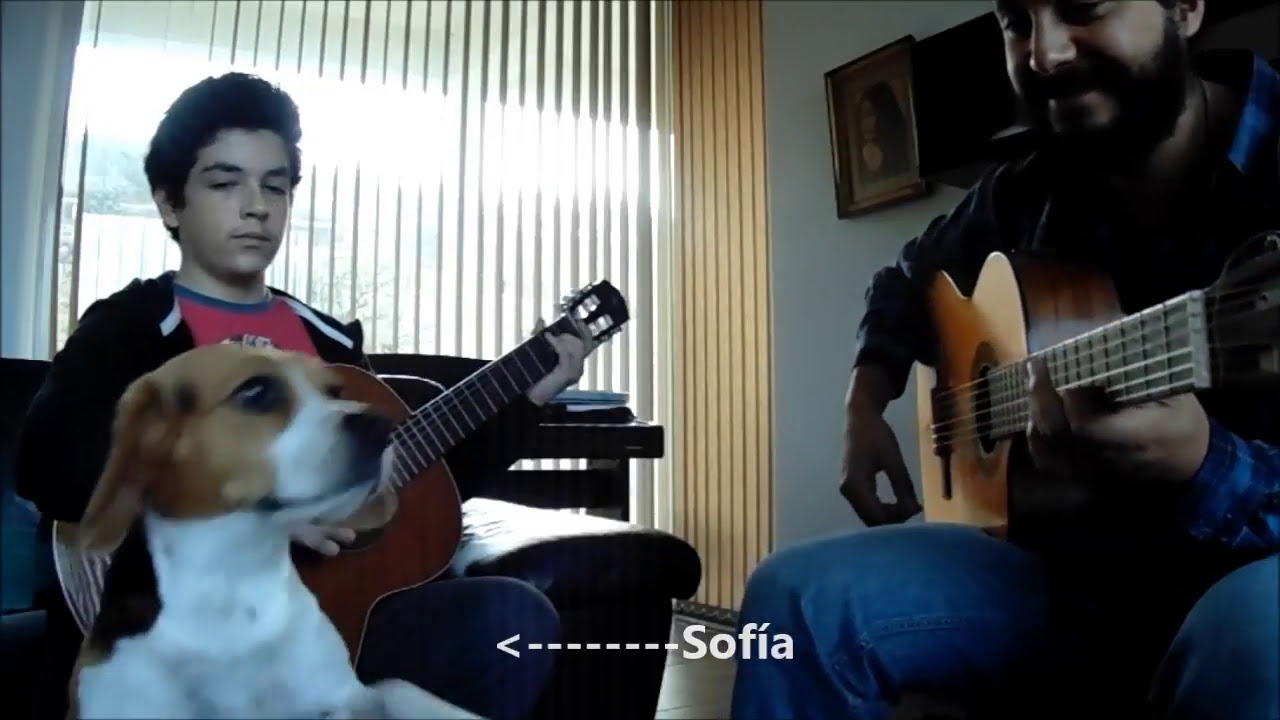 Rubén Collao y Moa Edmunds: Verdosos, de Habitante