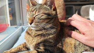 お久しぶりです