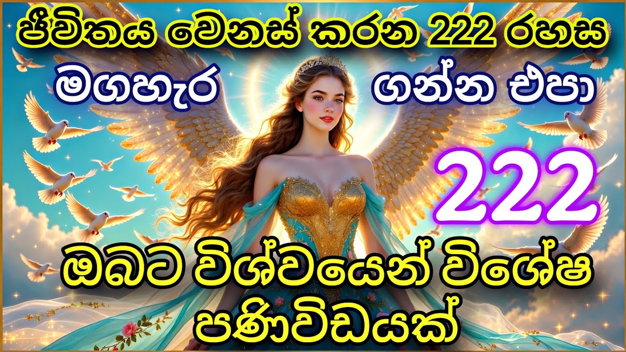 ඔබේ ජීවිතය වෙනස් කරන දිව්‍යමය පණිවිඩය: Angel Number 222 Sinhala | Angel Message for You ✨