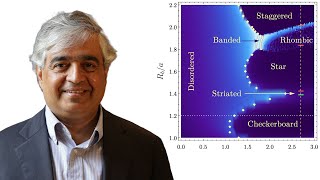 Subir Sachdev (Harvard): Quantum critical dynamics of the Ising model in 2 spatial dimensions