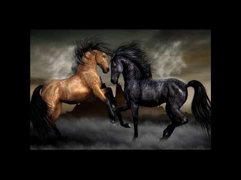 Лошадиные страсти Лошадиные страсти | Ryfma