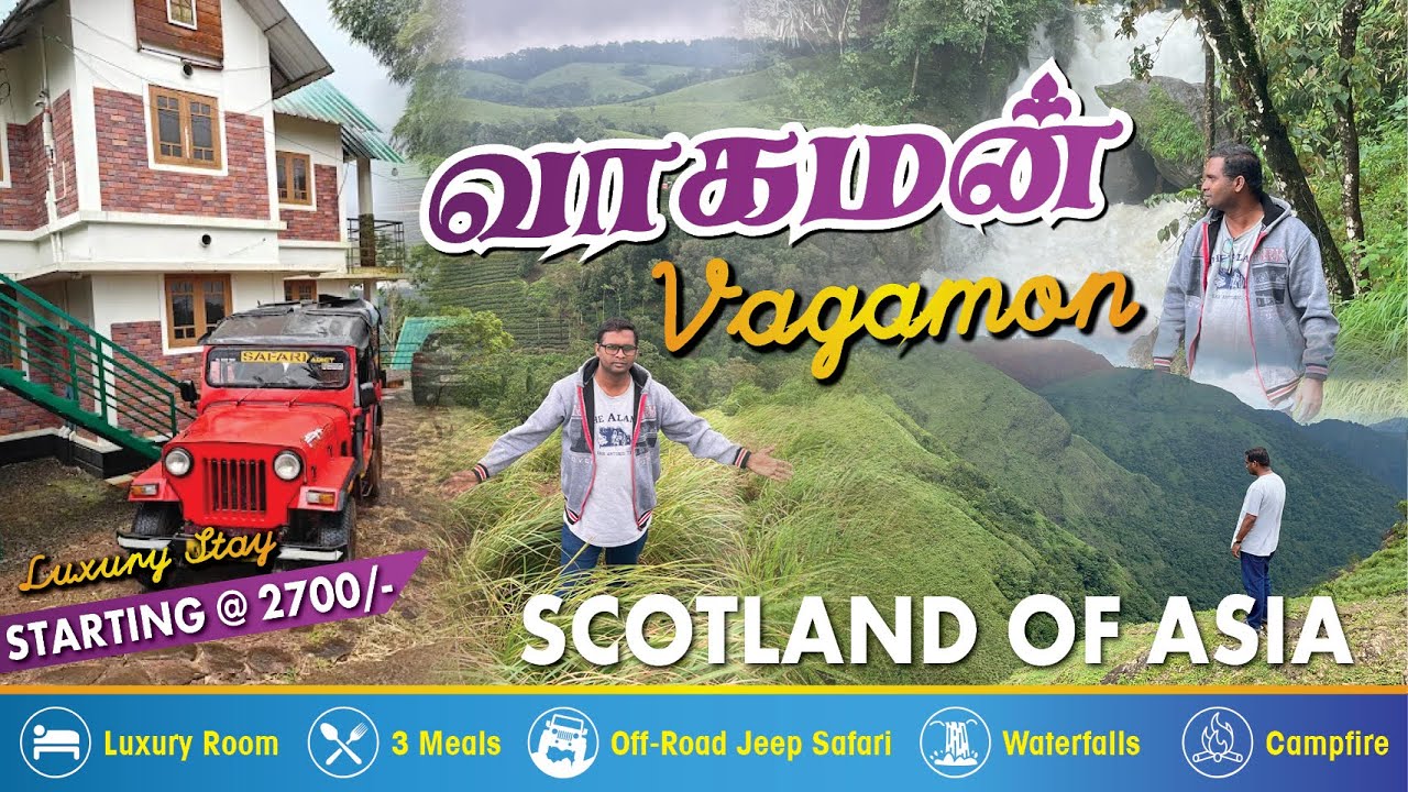 குறைந்த செலவில் வாகமனை சுற்றி பார்க்க தரமான பேக்கேஜ் | Budget Resort📍Vagamon, Kerala | Ep 77