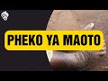 Pheko ya maoto