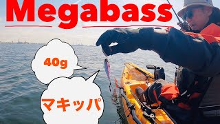 Megabassマキッパでシーバス爆釣 MAKIPPA