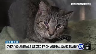 Over 100 animals seized from animal sanctuary
