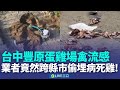 食品安全問題
