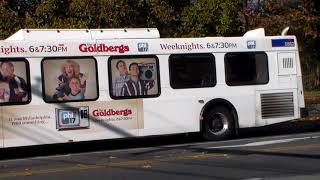SEPTA BUS: NEW FLYER D40LF 5862 ON ROUTE: 109