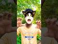 初めて猫に文句を言われた赤ちゃん、 どうしていいか分からず固まってしま #shorts #catvideos #赤ちゃん #猫う○ #cat #cats #baby #cute #funny FI70
