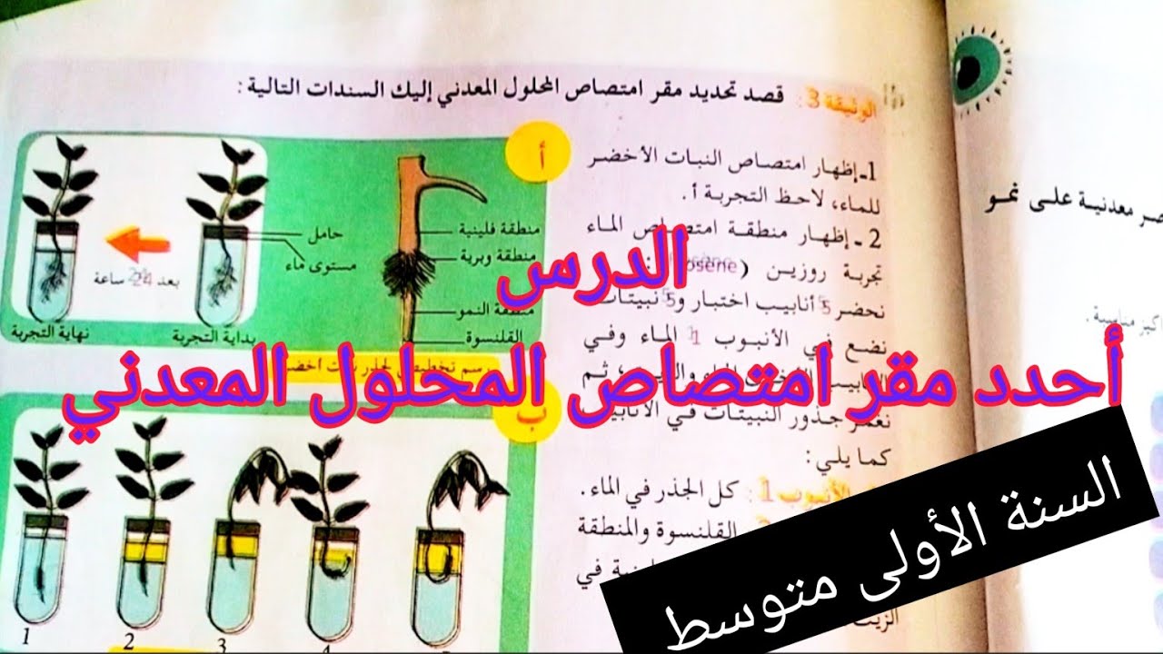 أحدد مقر امتصاص المحلول المعدني للنبات الأخضر _السنة الأولى متوسط علوم طبيعية