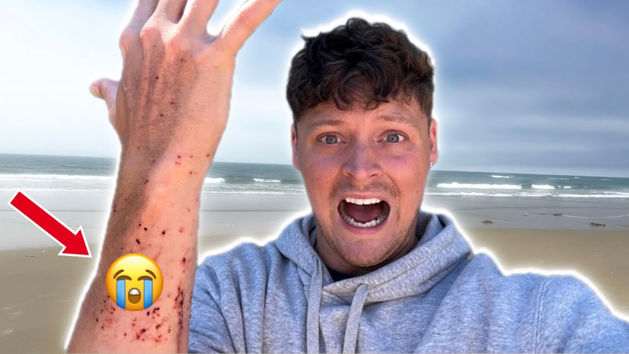 completely-infested-with-biting-sand-piranhas-full-video-youtube